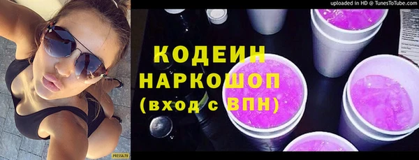 хмурый Белокуриха