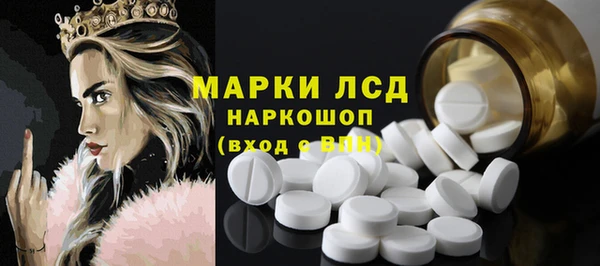 хмурый Белокуриха