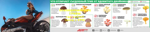 экстази Беломорск