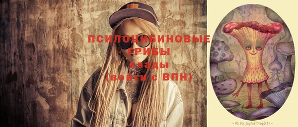 хмурый Белокуриха