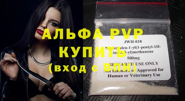 хмурый Белокуриха